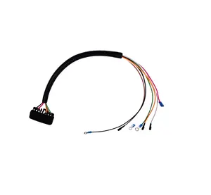 OEM ODM Fabricante Custom New Energy Veículo M5 M6 Anel Terminal 10A Fusível Automotive Wire Harness dispositivo elétrico