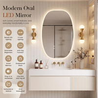 Miroir de salle de bain LED ovale irrégulier avec éclairage rétroéclairé, anti-buée, commande tactile, miroir de vanité intelligent pour la rénovation d'hôtels