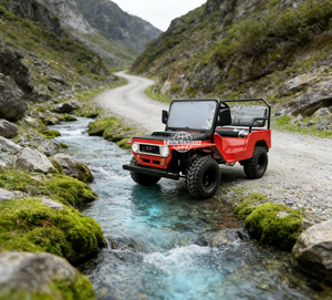 Vente directe d'usine - Jeep Willys classique de tourisme - Deux places - Essence/GPL - 150-250 CV - Batterie au plomb-acide - Transmission automatique - CE - Product Image 5