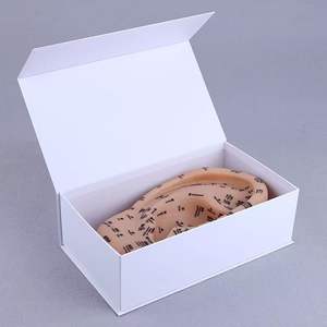 15 adet çince İngilizce iki dilli uygulama kulak akupunktur noktası modeli çin tıbbı akupunktur ve yakı kulak modeli acemi kullanımı - Product Image 5