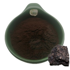 Polvo de Extracto de Shilajit Puro de Alta Calidad 10:1 20:1 20% 50% Ácido Fúlvico, Resina de Shilajit al por Mayor para Suplementos de Salud - Product Image 1