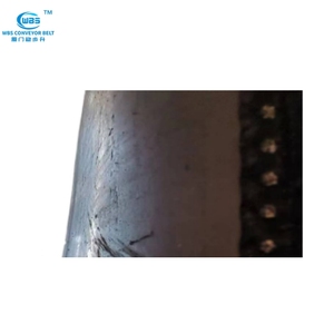 EP300/2 acciaio cavo nastro trasportatore forl personalizzato miglior prezzo e veloce nave alta qualità più lungo tempo di servizio - Product Image 2