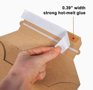 Allzweck-Mailer Starke selbst klebende Mailing-Tasche Stay Flat Mailer - Product Image 3