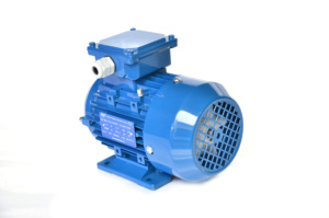 Motor de Inducción Asíncrono Trifásico de la Serie IE1, Estándar OEM, Tamaño de Marco 63, Carcasa de Aluminio, IP55, 100% Cobre - Product Image 1