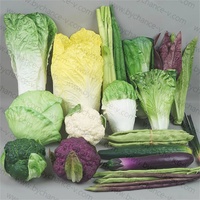 Kits de fruits et légumes artificiels réalistes de ressources éducatives précoces pour enfants pour les accessoires d'affichage de merchandising visuel
