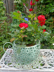 Tazza da Tè e Vaso Decorativo a Forma di Fiore Traforato in Ferro, Vaso per Piante Succulente, Accessorio per Fotografia a Forma di Tazza da <span class=keywords><strong>Caffè</strong></span> - Product Image 5