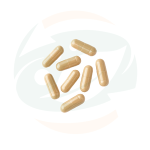 Hochwertige Kräuterergänzungsmittel Brustunterstützungs-Komplex Kapseln für Erwachsene Frauen Brustwachstum & Energiemanagement - Product Image 2