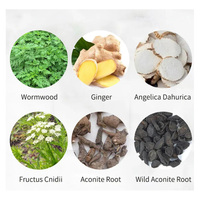 Patchs pour les pieds relaxants de haute qualité avec armoise et gingembre, favorisent la circulation sanguine et améliorent le sommeil - Fournitures pour la santé