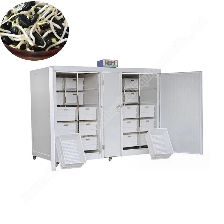 Bean sprouts drying machine automatic bean sprout machine mung bean sprout machine