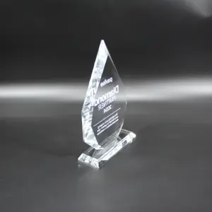 Hitop Design Large 3D Laser Engraving Crystal Block Acrylic Trophy Packed In Gift Paper Box