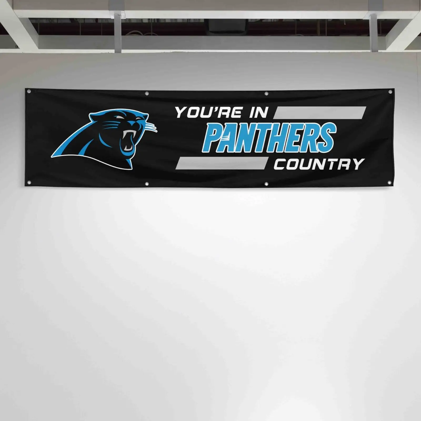 Bandiera personalizzata di Carolina pantere bandiera 2 x8ft NFL sei nel Banner regalo del paese