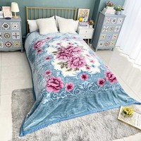 Couverture en Raschel Minky double épaisseur super douce de style coréen Abime, taille Queen, 4 kg, fabriquée sur mesure en Chine