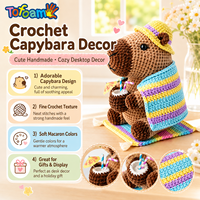 NOUVEAU Kit de Crochet Capybara pour Enfants DIY Amigurumi Poupée en Peluche Fait Main Coffret Cadeau
