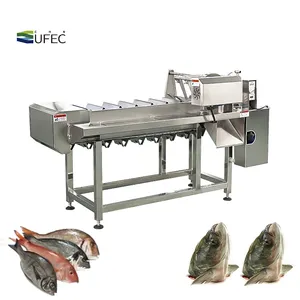 Máquina cortadora de cabeza de pescado para salmon, sardinas, tilapia, cod, saury