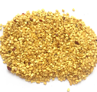 Graines de piment hybrides F1 naturelles non-OGM, graines de poivron vert à haut rendement, graines de légumes de qualité pure pour la vente en gros
