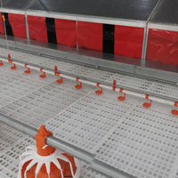 Nichoir à œufs de volaille Poulets pondeurs Boîtes 12 ou 24 trous Poules coop