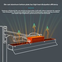 Éclairage LED haute puissance pour terrain de pickleball extérieur, étanche IP66, polarisé anti-éblouissement, 5700K, 36000LM, garantie 5 ans