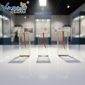 Modelo de Raíz Dental Educativo para Ciencias Médicas, Modelo de Enseñanza de Implantes Dentales con Dientes para Educación Dental - Product Image 4