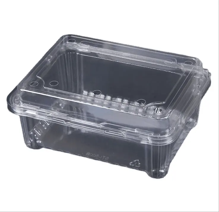 Ready to ship fruit tray Food packaging eggs packaging custom size plastic tray