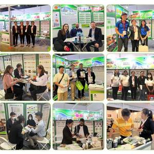 Yüksek kaliteli <span class=keywords><strong>loquat</strong></span> yaprağı ekstresi 98% ursolic asit tozu cas: 77-52-1bulk ursolic asit - Product Image 5