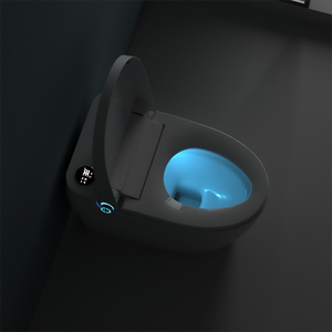 <span class=keywords><strong>Toilette</strong></span> intelligente chauffée automatique à mécanisme allongé avec capteur infrarouge japonais de luxe, <span class=keywords><strong>toilette</strong></span> <span class=keywords><strong>électrique</strong></span> à chasse d'eau <span class=keywords><strong>sèche</strong></span> - Product Image 6