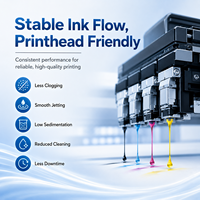 Encre éco-solvant 1L CMYK pour impression numérique sur film rétroéclairé pour I3200 XP600 DX5 DX7