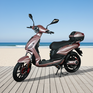 Moped/Scooter électrique pas cher 48V 1000W L1e EEC COC avec batterie au lithium personnalisée pour adultes 40-60 km/h - Product Image 4