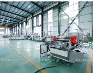 500kg Trái Cây Rau làm sạch dây chuyền sản xuất rửa và sấy khô trái cây khoai tây cà chua máy giặt - Product Image 6