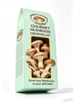 Boîtes à champignons personnalisées imprimées, fabriquées en carton de qualité supérieure, avec logo