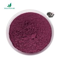 Colorant Alimentaire de Qualité Supérieure d'Usine Anthocyanes 25% Extrait de Fruit de Sureau Noir en Poudre