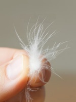 Couette en duvet de plumes d'oie blanches extra moelleuses, légère, de haute qualité, cousue en boîte, respirante, pour toutes les saisons