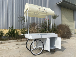 Camiones de Comida Pequeños Hechos en China, Carritos de Helados, Camiones de Comida Usados de Acero Inoxidable en Venta - Product Image 4