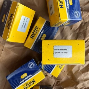 R928028409 WE-1SP-M12X1 ตัวบ่งชี้การบำรุงรักษาสำหรับ Hengst สำหรับอุตสาหกรรม มีสินค้าในสต็อก - Product Image 2