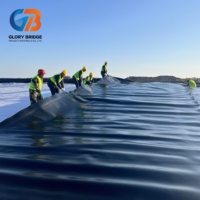 Промышленная геомембрана из ПНД (HDPE) для гидроизоляции, широко используемая в проектах водохозяйственного строительства