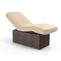 Mobilier de salon électrique moderne Ness-D, table de massage en cuir artificiel pour soins du visage et beauté du visage, lit électrique avec base en bois