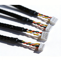 Produsen Profesional Menyediakan Kabel Elektronik PVC 1.0mm 1.25mm 1.5mm 2.0 2.54mm 2/3/4/5/6 Pin 12-28AWG Perakitan Kabel Harness