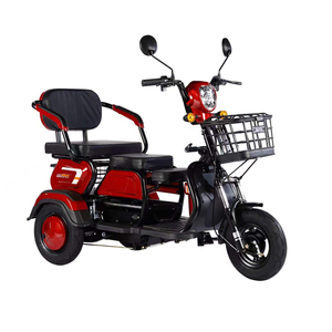 Prezzo economico 600W 48V Ebike 3 ruote triciclo elettrico bici elettrica da carico a lungo raggio con cestino - Product Image 3
