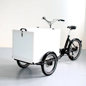 <span class=keywords><strong>Petit</strong></span> chariot commercial de Popsicle de crème glacée 3 roues tricycle de charge avant de crème glacée avec de grandes boîtes de cargaison en plastique à vendre - Product Image 2