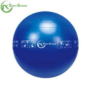 Zhensheng suministro de fábrica logotipo personalizado Anti-Burst 45cm PVC Yoga Ball Fitness ejercicio silla gimnasio globo para uso doméstico - Product Image 6