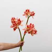 Kunstmatige amaryllisbloemen, EVA Clivia met een realistisch gevoel, boeketten voor bloemendesign, model voor kamervoorbereiding, fotografie-accessoires