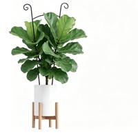 Tuteurs métalliques pour plantes grimpantes d'intérieur/extérieur – Idéaux pour Pothos et autres plantes rampantes