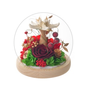 Rose éternelle préservée dans une boule de verre, rose rouge éternelle avec étoile de mer, cadeau romantique fait main pour la Saint-Valentin, décoration d'intérieur - Product Image 2