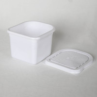 Prix d'usine – Boîte à glace robuste en PP, anti-craquelure, -25°C, pour la chaîne du froid industrielle et la logistique alimentaire
