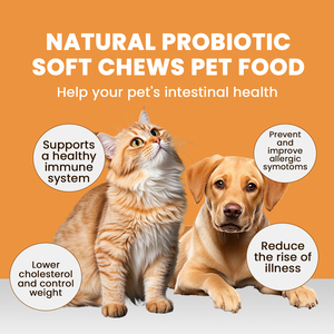 Integratore alimentare per animali domestici mastica morbida integratori per cani e vitamine per la salute delle articolazioni degli animali domestici - Product Image 4