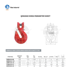 Hidea Nhà Máy 20rh313 An Toàn Nâng Nặng-Nhiệm Vụ <span class=keywords><strong>G80</strong></span> <span class=keywords><strong>Clevis</strong></span> Lấy Móc Với An Toàn Pin - Product Image 6