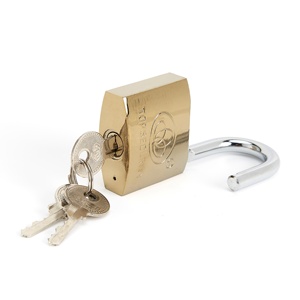 Gembok besi Sepuh kustom Keyed sama dengan keamanan tinggi dan daya tahan dengan fitur antimaling kunci <span class=keywords><strong>Mini</strong></span> kecil - Product Image 4