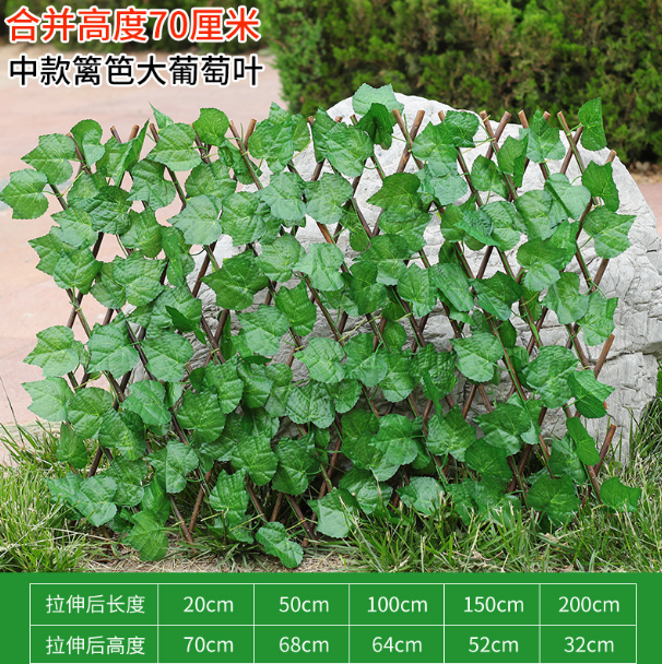 #15-70cm grande feuille