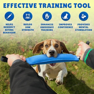 कुत्ते काटने वाले खिलौना पालतू चूने तकिया खिलौना कपड़े नायलॉन कुत्ते को युद्ध, लाने और पिल्ला प्रशिक्षण - Product Image 2