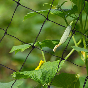ตาข่ายยืดหยุ่นขนาด 70*70 ซม. 150 ชิ้น / แบบประกอบได้ / สำหรับนำทางและรองรับการออกดอกของพืช / การปลูกแบบไฮโดรโปนิกส์ - Product Image 6