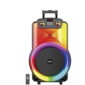 12 Inch Trolley <b>Speaker</b> With Led Light Bluetooth Sd <b>Usb</b> Radio Portable Party <b>Speaker</b> - Product Image 1